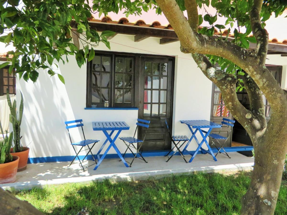 Lemon Tree House By Stay In Alentejo 빌라노바데밀폰테스 외부 사진