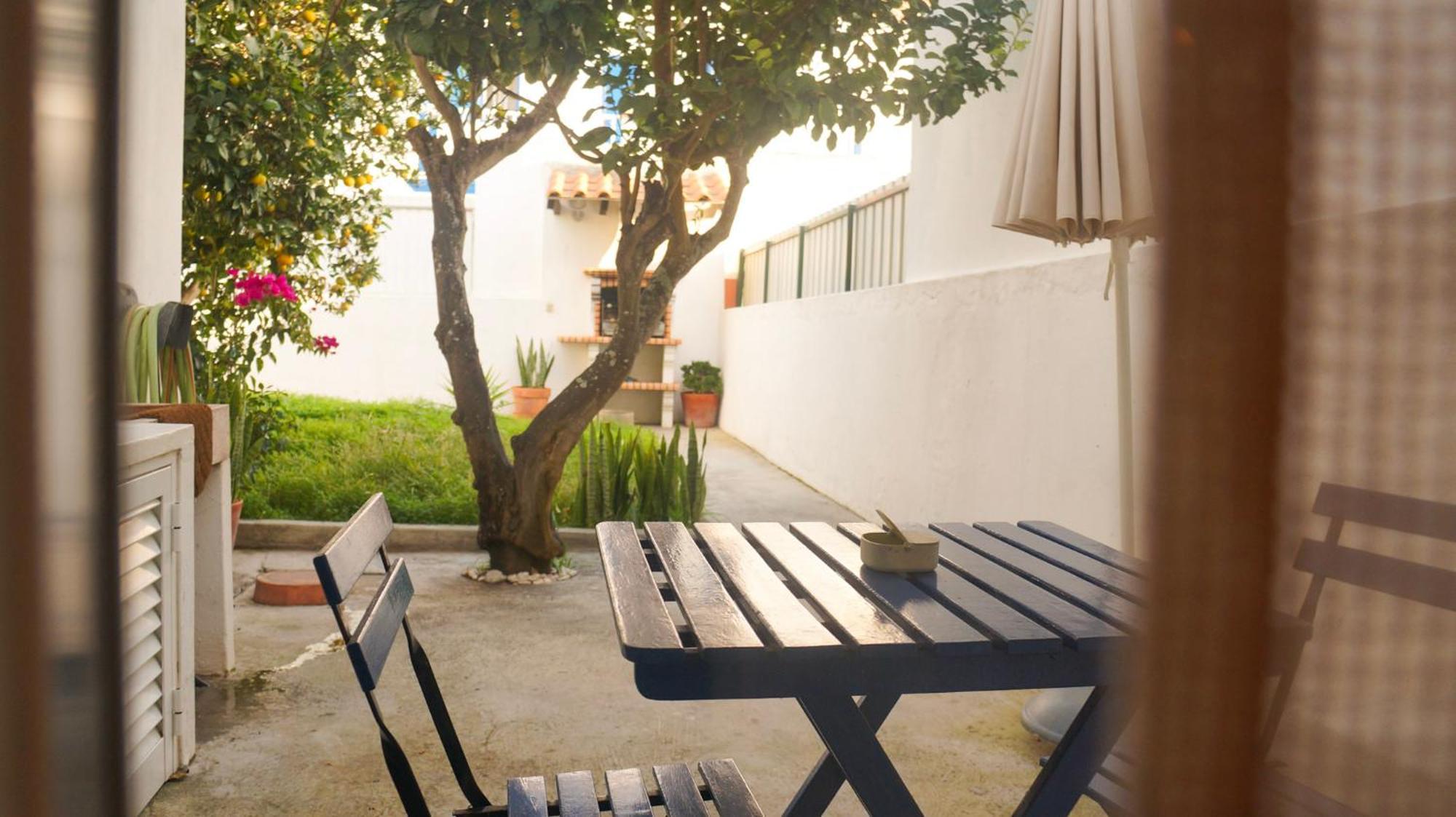 Lemon Tree House By Stay In Alentejo 빌라노바데밀폰테스 외부 사진